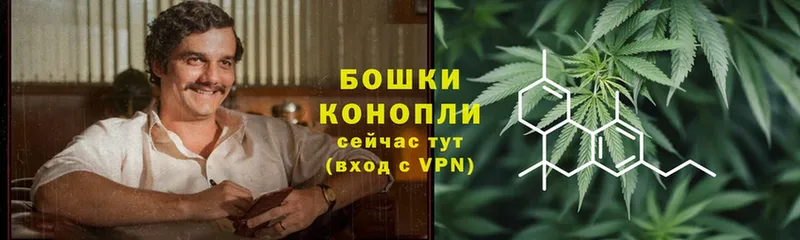 где купить   гидра ссылки  Каннабис Ganja  Камышлов 